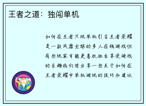 王者之道：独闯单机
